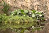 leipzig zoo-01_07_2011_gondwanaland_078